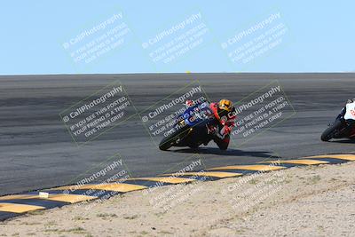 media/Mar-10-2024-SoCal Trackdays (Sun) [[6228d7c590]]/2-Bowl (10am)/